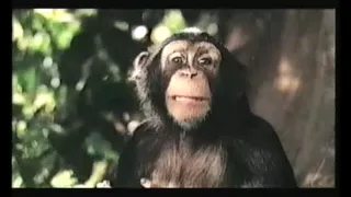 Disney's George of the jungle 2 Trailer 2003 (VHS Capture)