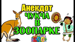 АНЕКДОТ ПРО ЧУКЧУ И КЕНГУРУ, СВЕЖИЙ АНЕКДОТ...