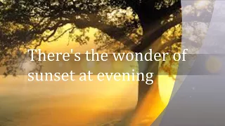 THE WONDER OF IT ALL- THE SAINTS MINISTERS