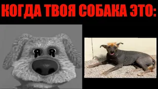 КОГДА ТВОЯ СОБАКА ЭТО: ГРУСТНЫЕ, УЖАСНЫЕ ЛИЦА БЕН