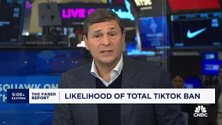 Faber Report: Likelihood of total TikTok ban