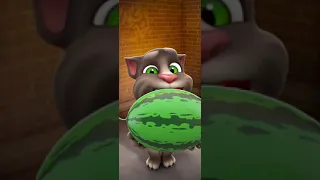 TALKING TOM E UN PICCOLO GATTINO!.