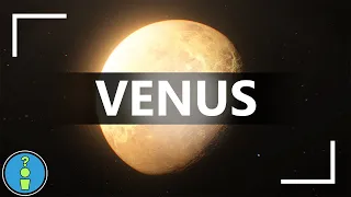 VENUS