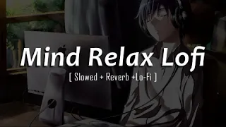 Mind relax lofi (Lyrics) || New song 2024 ||New English song || Best song english