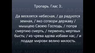 Тропарь глас 3-й