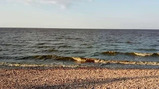 Озеро Ильмень, недалеко от д. Коростынь (17.07.2018 г.)