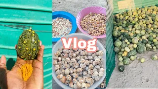 A Day In The Village| Unending Chores| Namibian Youtuber| Kaino