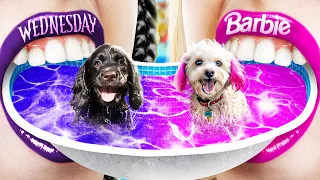 Barbie vs Wednesday Addams! Wir Bauen einen Winzigen Wasserpark für Haustiere zu Hause!