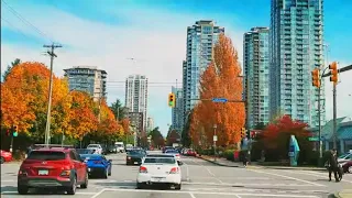 🇨🇦[4K] Autumn Colours Driving Tour in Coquitlam City Center | British Columbia Canada