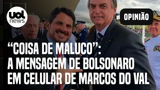 'Coisa de maluco', disse Bolsonaro a senador Marcos do Val, mostra mensagem de celular apreendido