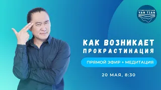 Как возникает прокрастинация | Прямой эфир + медитация | Ян Тиан