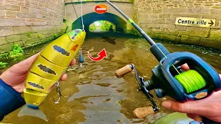 Je ne m’attendais pas à ça en pêchant dans ce centre-ville, des zones de pêche improbables !!