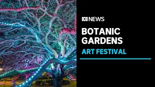 Outdoor public art festival adds light and art to natural wonders in Brisbane botanic gardens