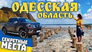 Одесская область. Дикие пляжи, староверы, буйволы и пеликаны