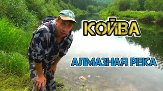 СПЛАВ ПО КОЙВЕ | река с ИСТОРИЕЙ | часть1 | сплав на ПАКРАФТЕ | Зов тайги