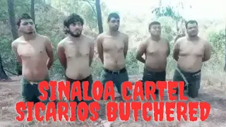 A Gruesome New Cartel Video | Sinaloa Cartel Hitmen Butchered By An Unknown Gang