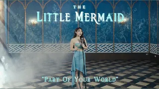 Part of Your World (The Little Mermaid) Cover By Mild Nawin