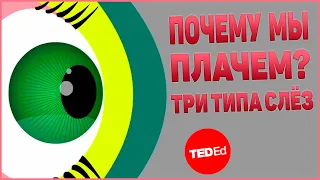 Почему мы плачем? Три типа слёз | TED-Ed