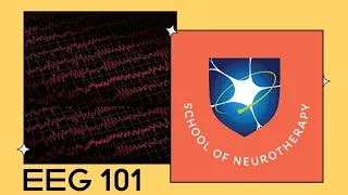 EEG 101