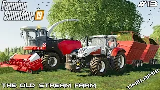 Mowing grass and silage harvest | Animals on The Old Stream Farm | Farming Simulator 19 | Episode 13