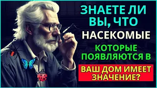 Знаете ли вы, что насекомые, которые появляются в вашем доме, имеют значение! ЗАКОН ПРИВЛЕЧЕНИЯ