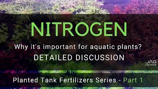 NITROGEN - Why it's important for aquatic plants - Planted Tank Fertilizers Series - Part 1