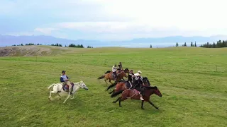 Come to Xinjiang to ride a horse