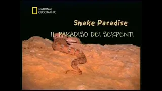 Il paradiso dei serpenti - 2002