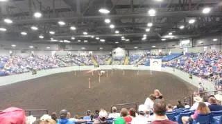 Mounted Shooting Missouri State Fair