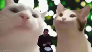 Bwop cat mashup Bilal Göregen - Cat Vibing To Ievan Polkka