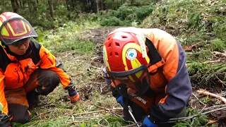 ワイヤー繫ぎショートスプライス（OJT