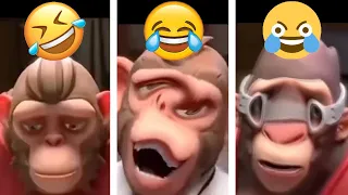 Chinese Monkeys Singing, but it keeps getting funnier