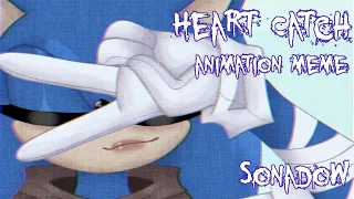 Heart Catch animation meme [Sonadow] (read description)