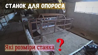 Індивідуальний станок для опороса своїми руками❗ Які розміри станка❓