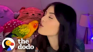 Parrot Loves To Shower With Mom | The Dodo