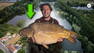 Dreamcatcher am Clover Lake 🇧🇪 - Die Jagd nach dem belgischen Monsterkarpfen!