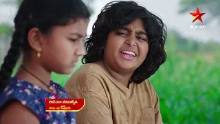 Paape Maa Jeevanajyothi - Promo | 17th Mar 2023 | Star Maa Serials | Mon-Sat at 12 pm | Star Maa