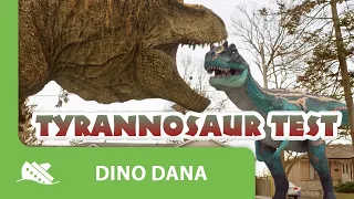 Dino Dana | Tyrannosaur Test | Episode Promo | Michela Luci, Saara Chaudry, Nicola Correia-Damude