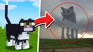 Mobs de Minecraft CAPTADOS EN LA VIDA REAL 😱