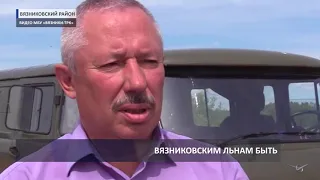 2018 06 07 Вязники. Лён