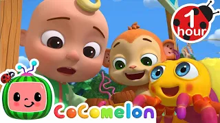 Itsy Bitsy Spider with JJ & Animals | Animals for Cartoons Kids | Funny Cartoon | Learn about Animal