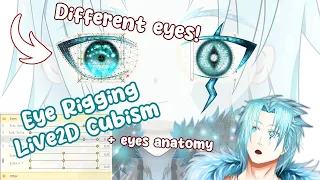 [Live2D] Eyes Rigging + Eye Anatomy