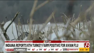 Indiana Reports 6th turkey farm positive for avian flu