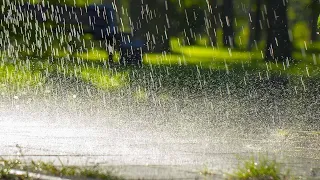 Showers and thunderstorms possible tonight