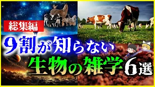 【ゆっくり解説】【総集編】9割の人が知らない「生物の雑学」6選を解説/自己家畜化、草食動物、土、赤潮、他 【作業用】【睡眠用】