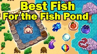 The BEST Fish For the Fish Pond - Stardew Valley 1.5