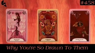 Why You're So Drawn To This Person 🔮💫🕊️ ~ Timeless Pick a Card Tarot Reading