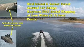 Bird Island & Amber Forest around the 147 Bridge - Rayburn 2022 Aerial Mapping at Low Water Pt 2