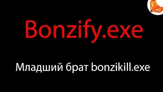 Bonzify.exe | Младший брат bonzikill.exe