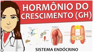 Sistema Endócrino 07 - GH Hormônio do Crescimento (Fisiologia) - Vídeo-aula